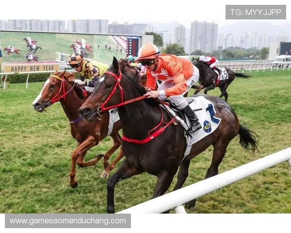 hkjc app正规官网：香港赛马会官方应用的使用指南与常见操作流程详解