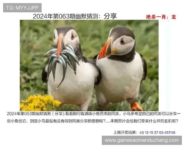 掌握一肖一码的详细玩法指南,助你轻松提高中奖率