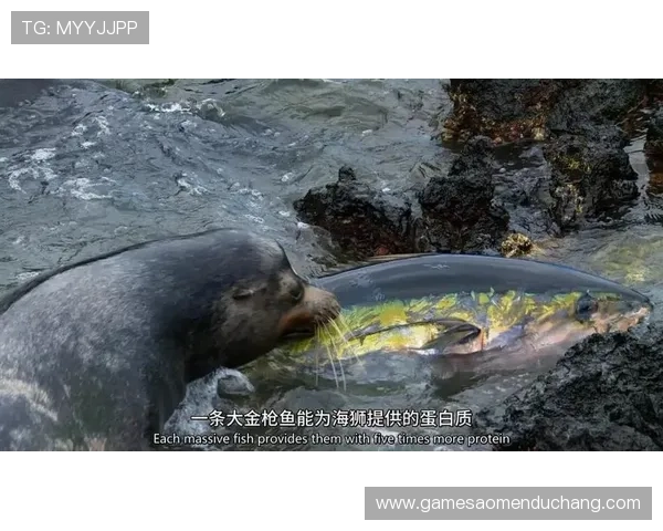 海洋之神正规网址官方入口,避免虚假网站带来的资金风险 海洋之神正规网址官方入口,避免虚假网站带来的资金风险